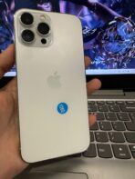 iPhone 13Pro Max