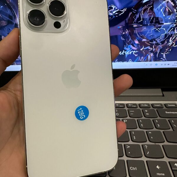 iPhone 13Pro Max